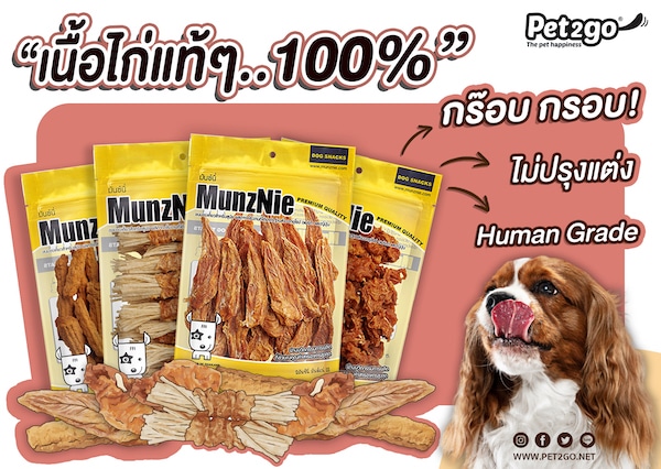 bigpack ไก่กรอบ