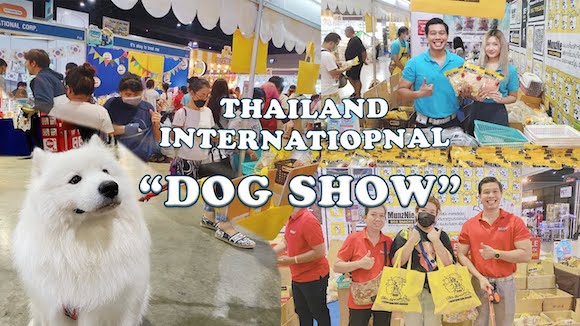 Thailand international dogshow2020