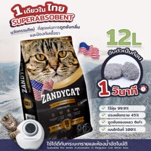 zandycat12L