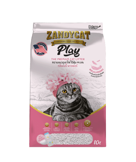 zandycat babypowder