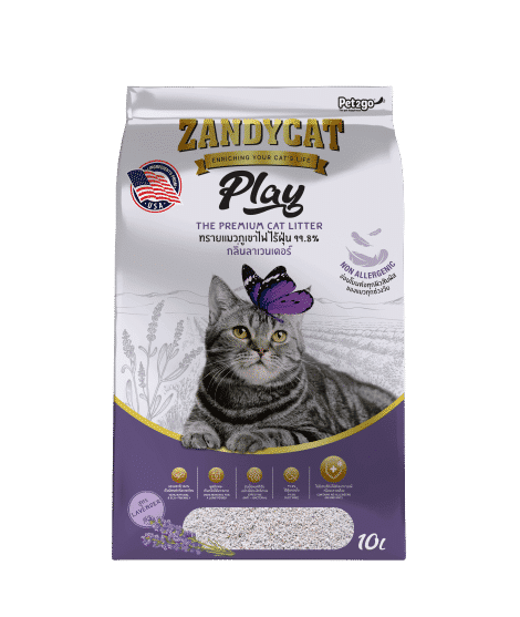 zandycat play lavender