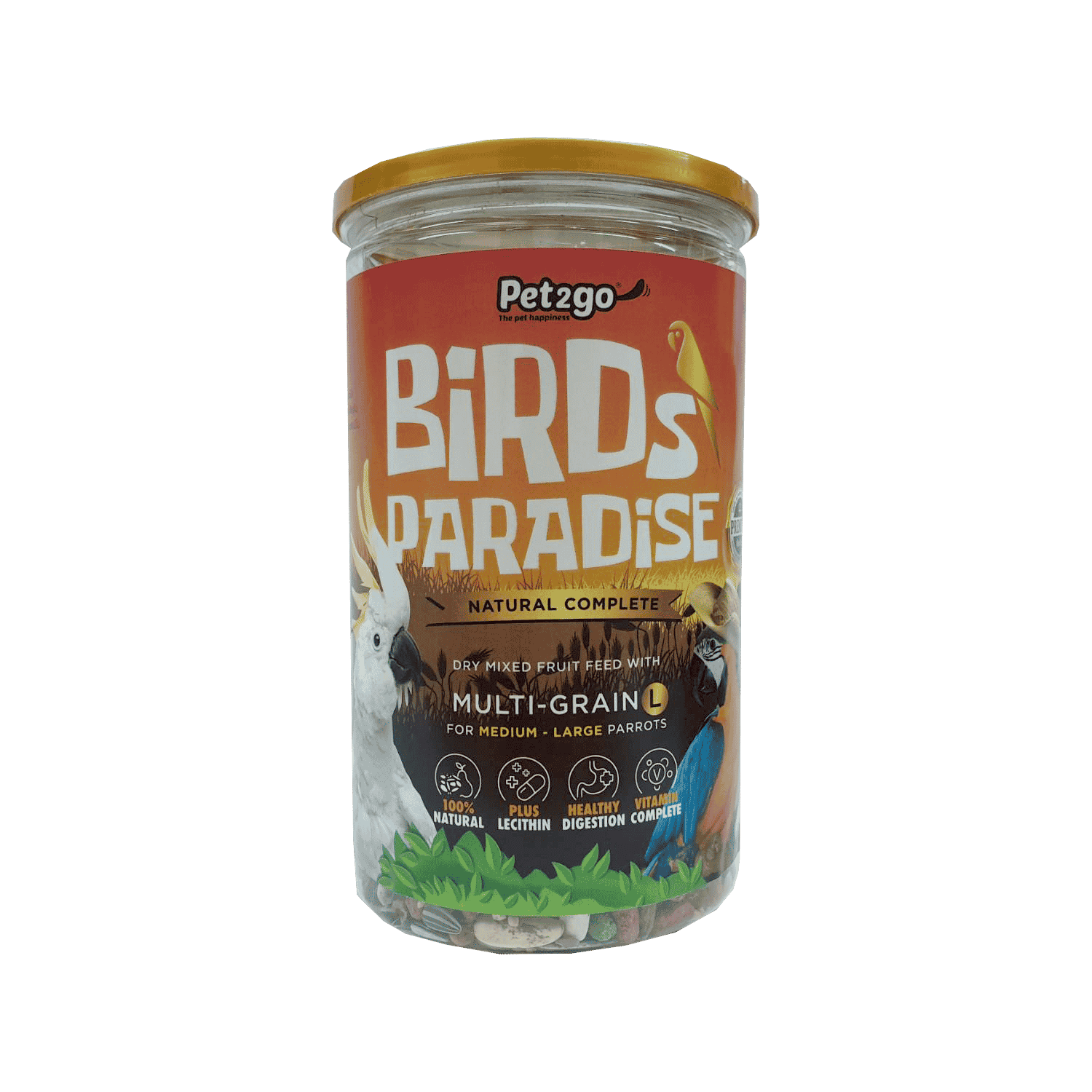 birds paradise