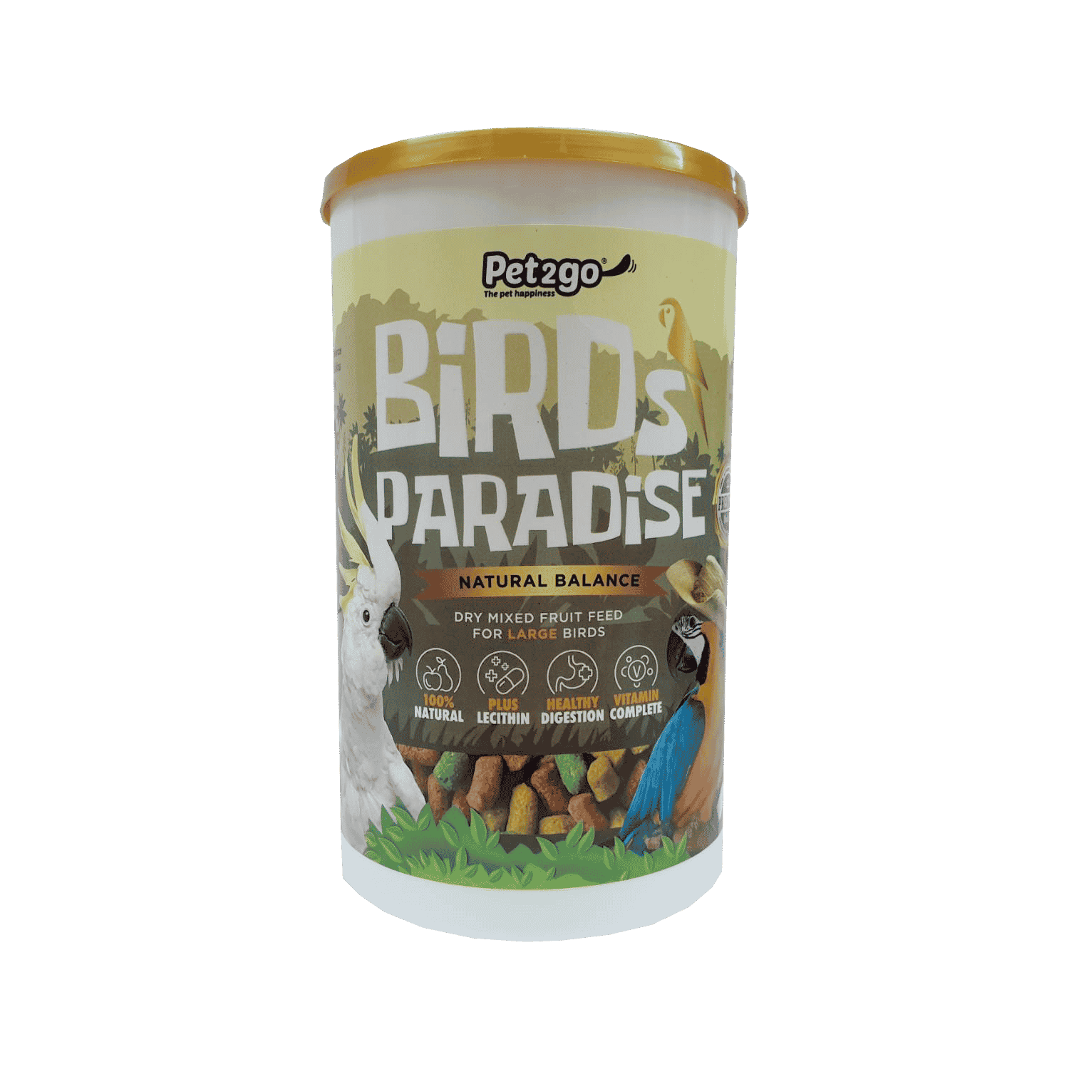 birds paradise