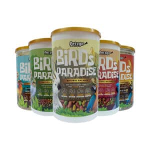 Bird Food & Bird Care