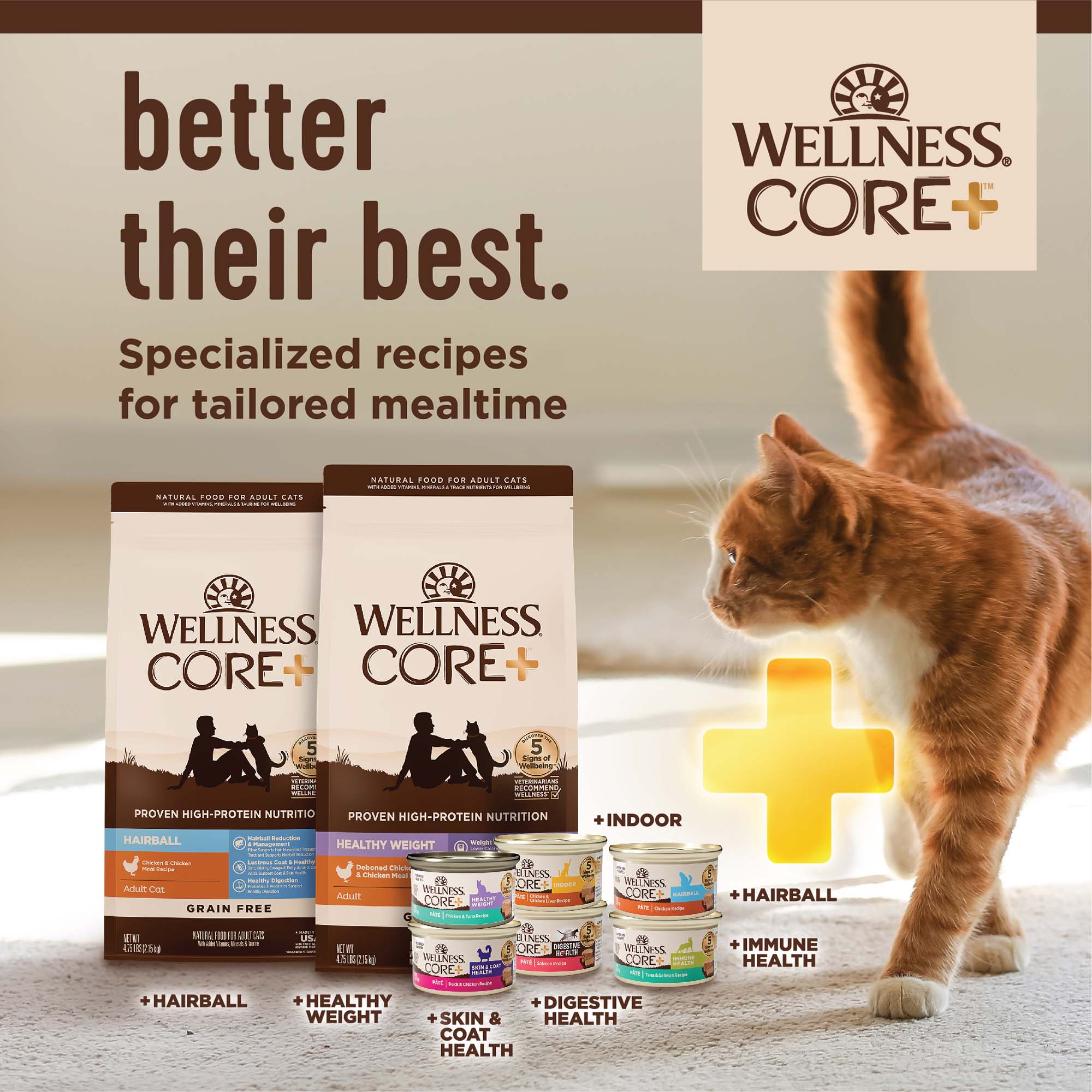 อาหารแมว WELLNESS CORE สูตร Indoor 11lb(4.9kg) - Image 7
