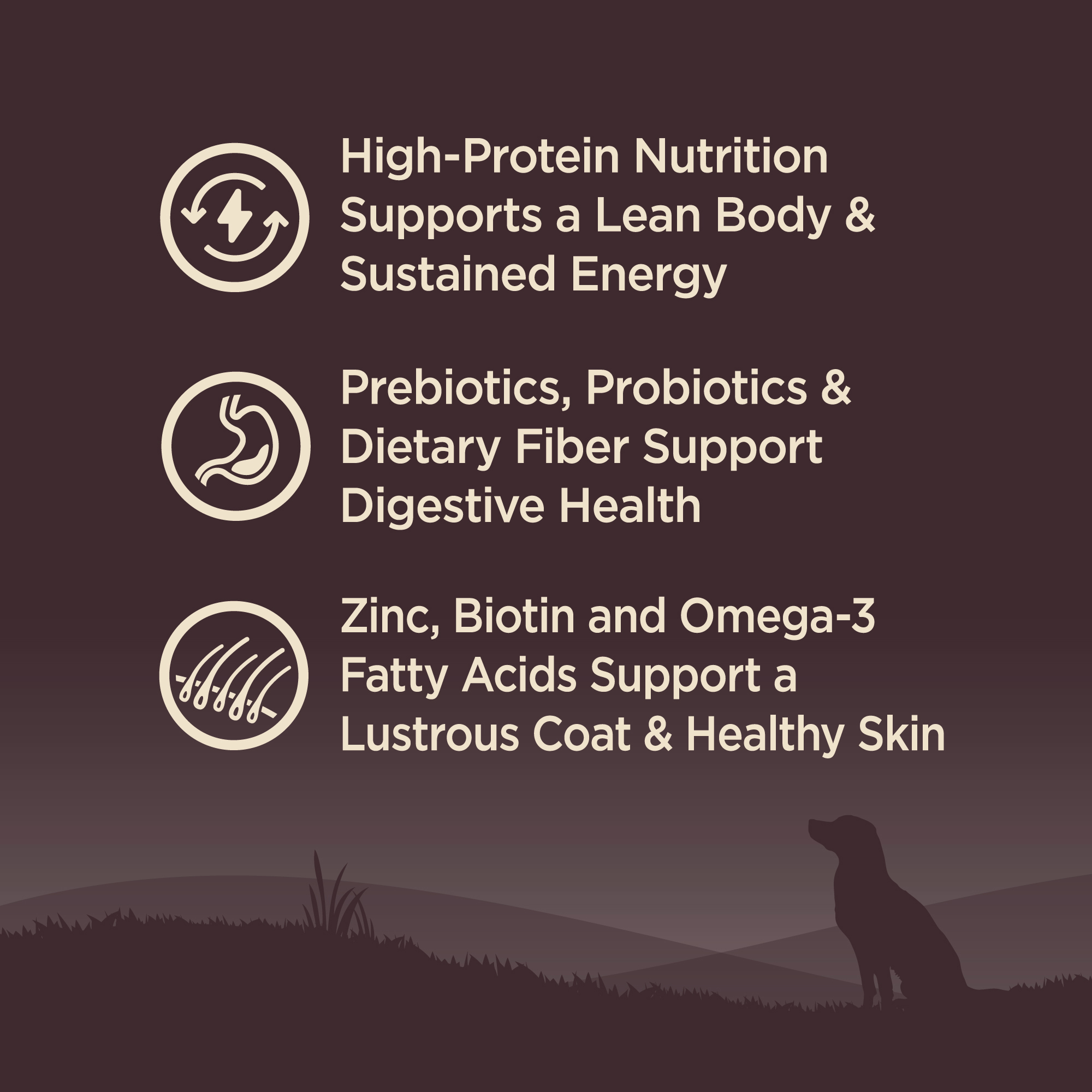 อาหารสุนัข WELLNESS CORE สูตร Original 4lb(1.8kg) - Image 10