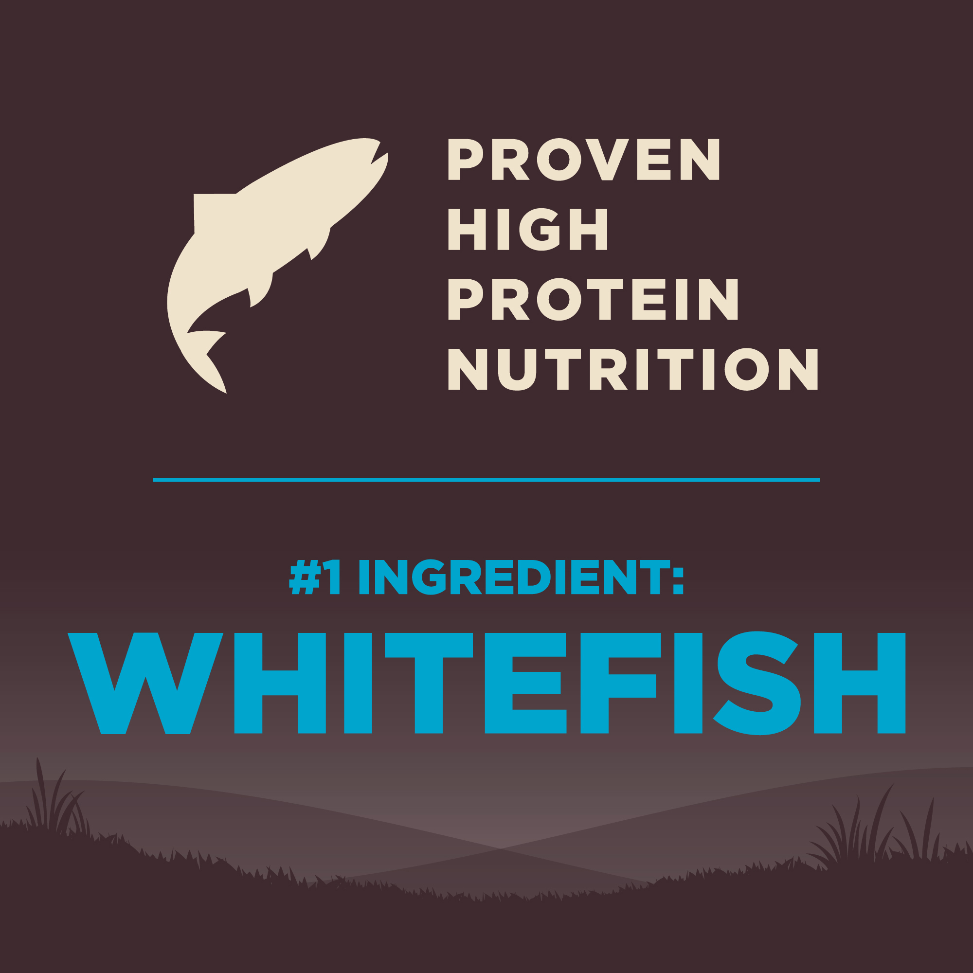อาหารสุนัข WELLNESS CORE สูตร Ocean 4lb(1.8kg) - Image 8