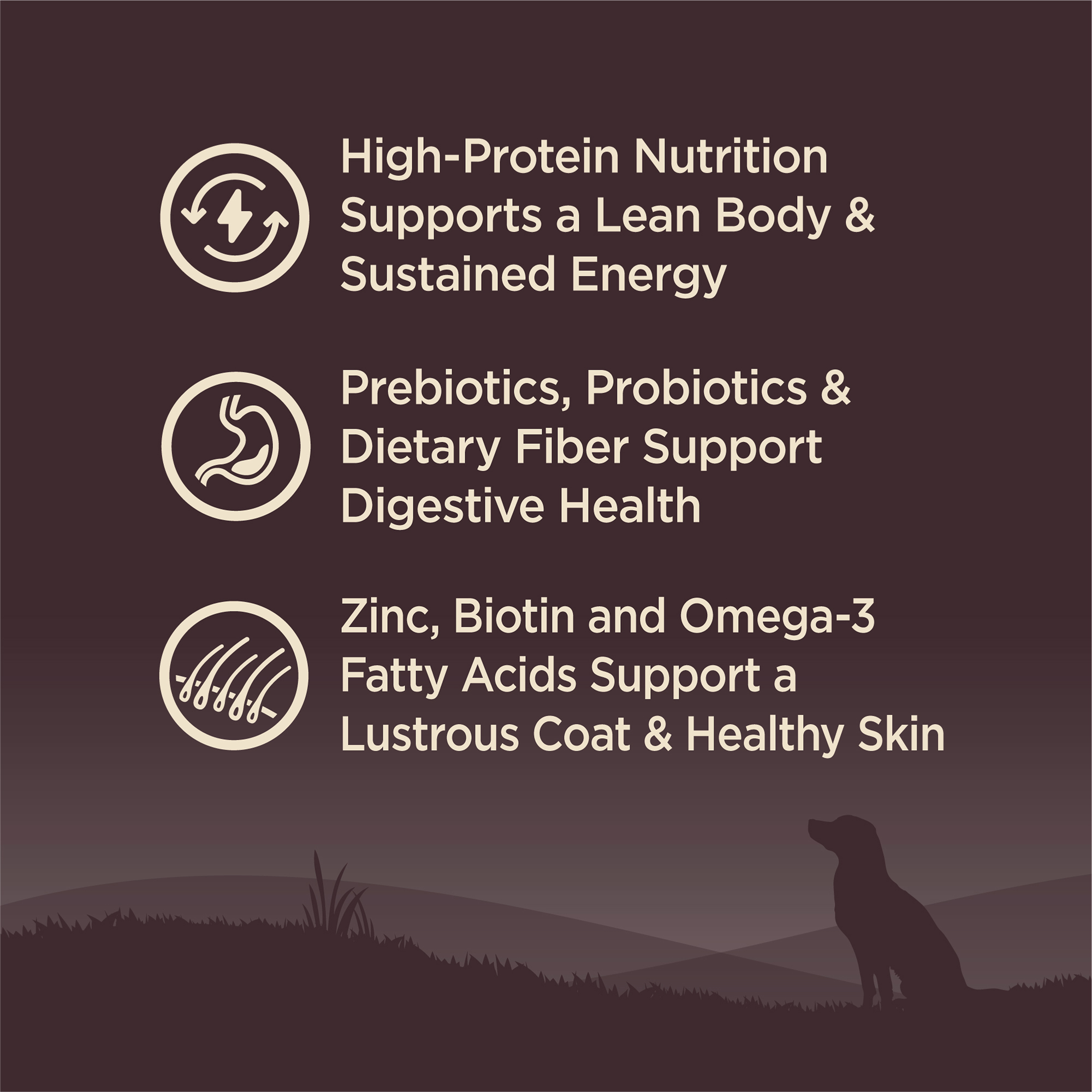 อาหารสุนัข WELLNESS CORE สูตร Small Breed 12lb(5.4kg) - Image 10