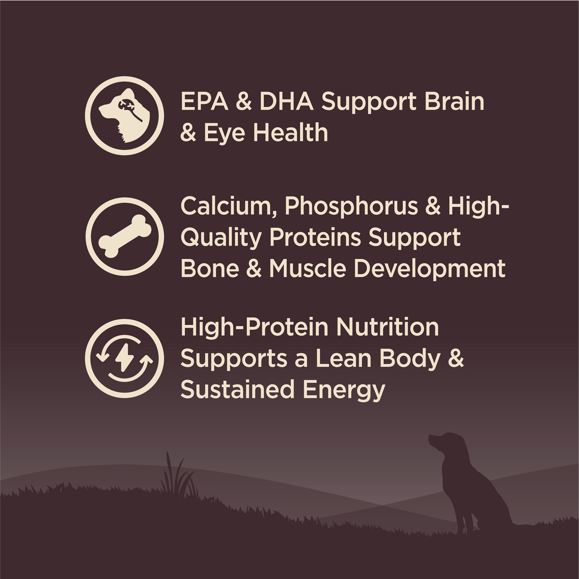 อาหารสุนัข WELLNESS CORE สูตร Puppy 4lb(1.8kg) - Image 11