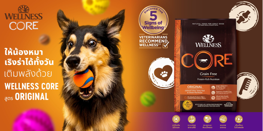 wellness core dog original banner