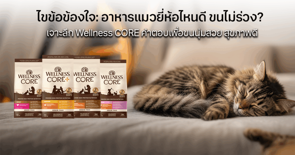 เจาะลึก Wellness CORE คำตอบเพื่อขนนุ่มสวย สุขภาพดี